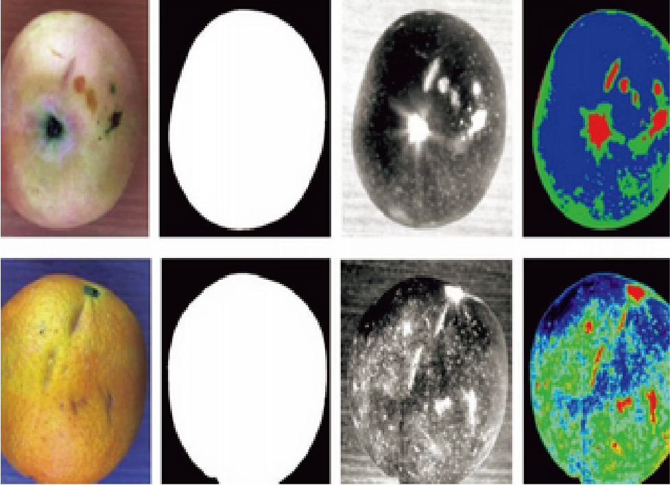高光谱成像技术
